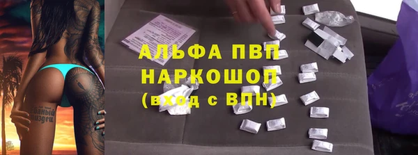 PSILOCYBIN Богданович
