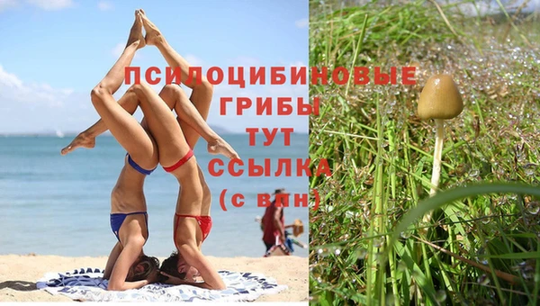 тгк Семилуки