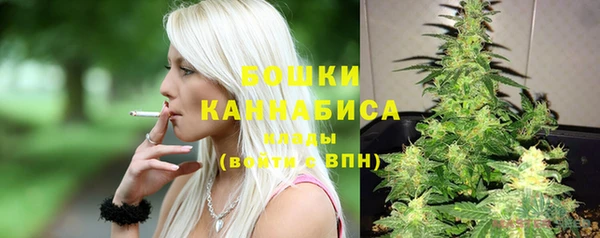 гидра Белокуриха